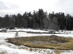 View of the woods off of hole 2